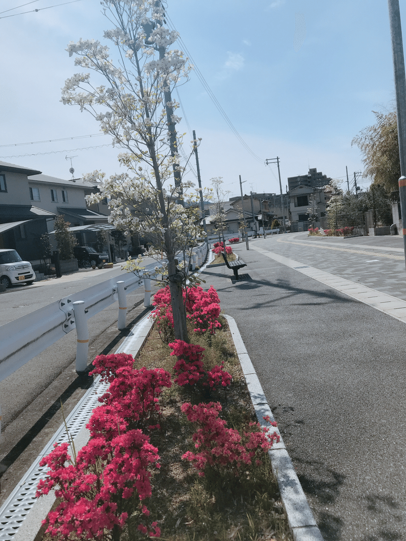 天気よすぎるお花に癒される日向ぼっこ Rina Note