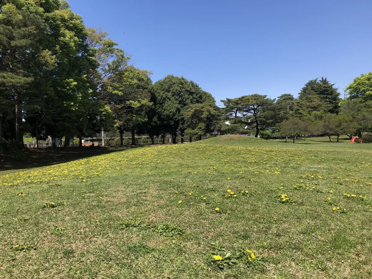 画像5