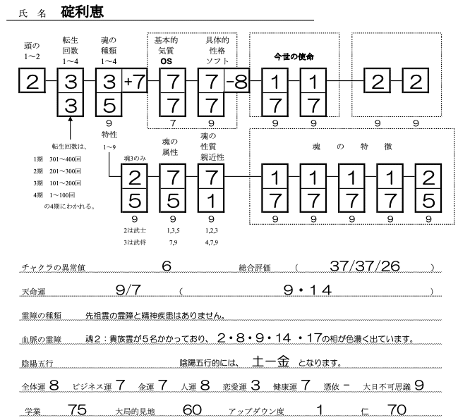 碇利恵SS