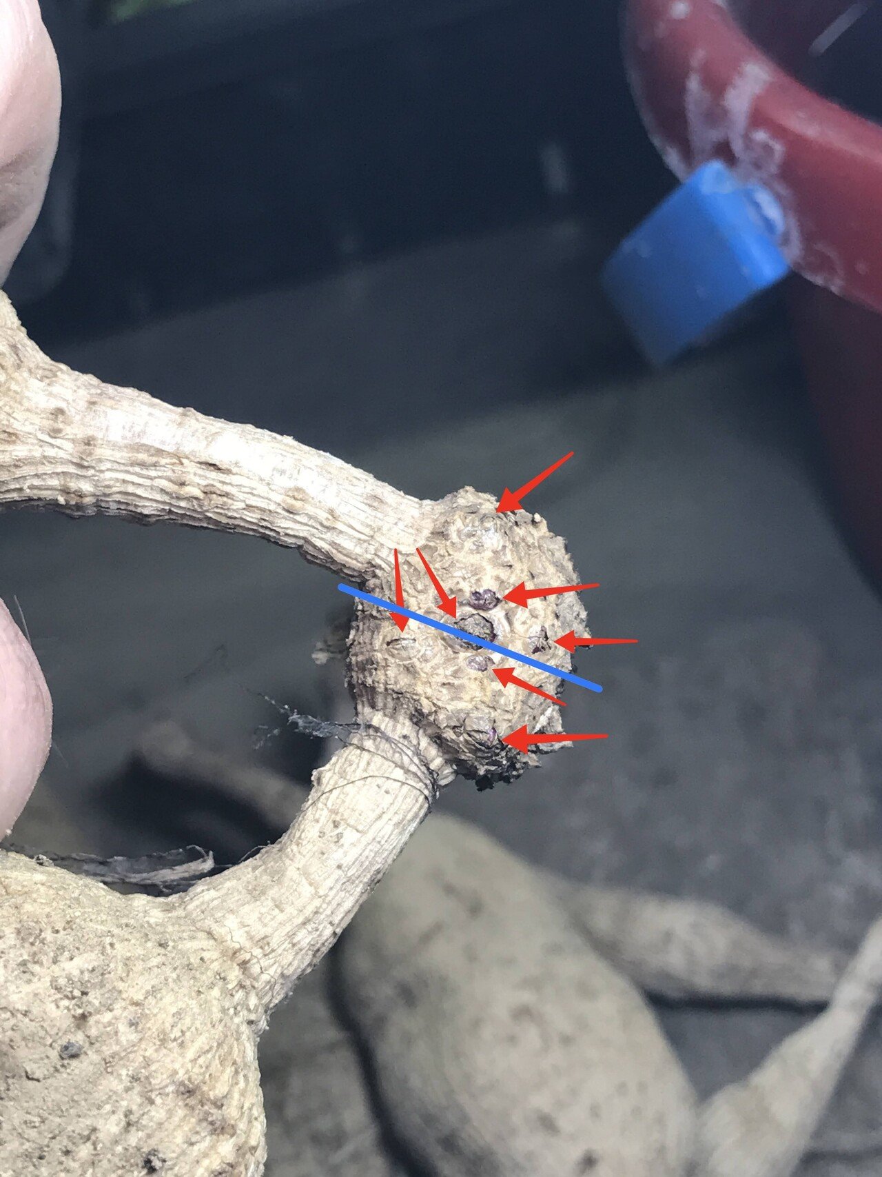 7 分球 沢田朋輝 Note 7 分球 沢田朋輝 Note