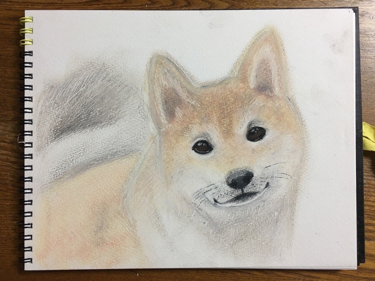 柴犬 ゆりあ Note