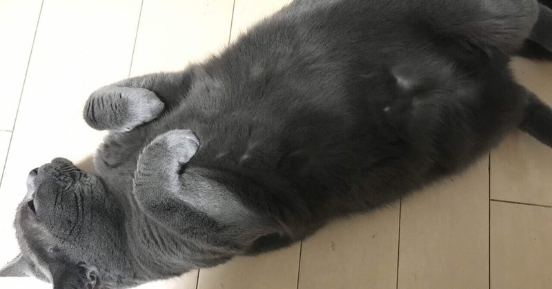吾輩は猫の下僕である 名前は さとし Note 吾輩は猫の下僕である 名前は さとし Note