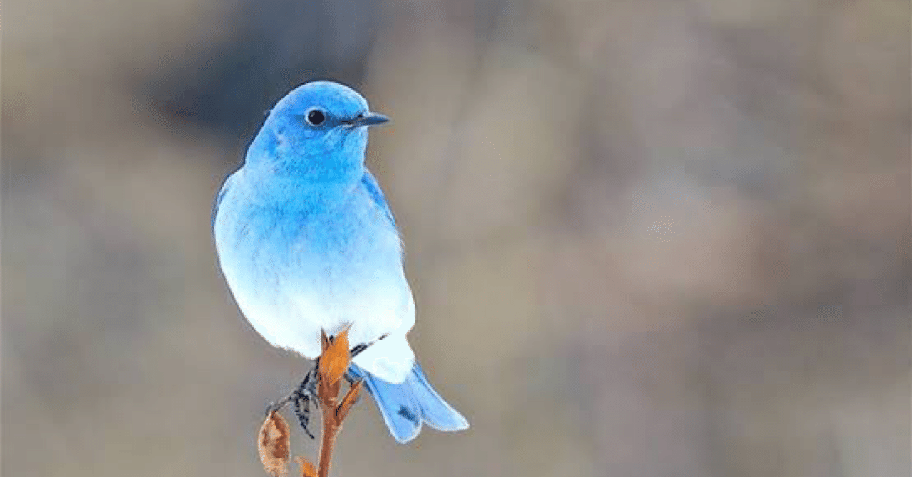 rectangle_large_type_2_2fd513e  