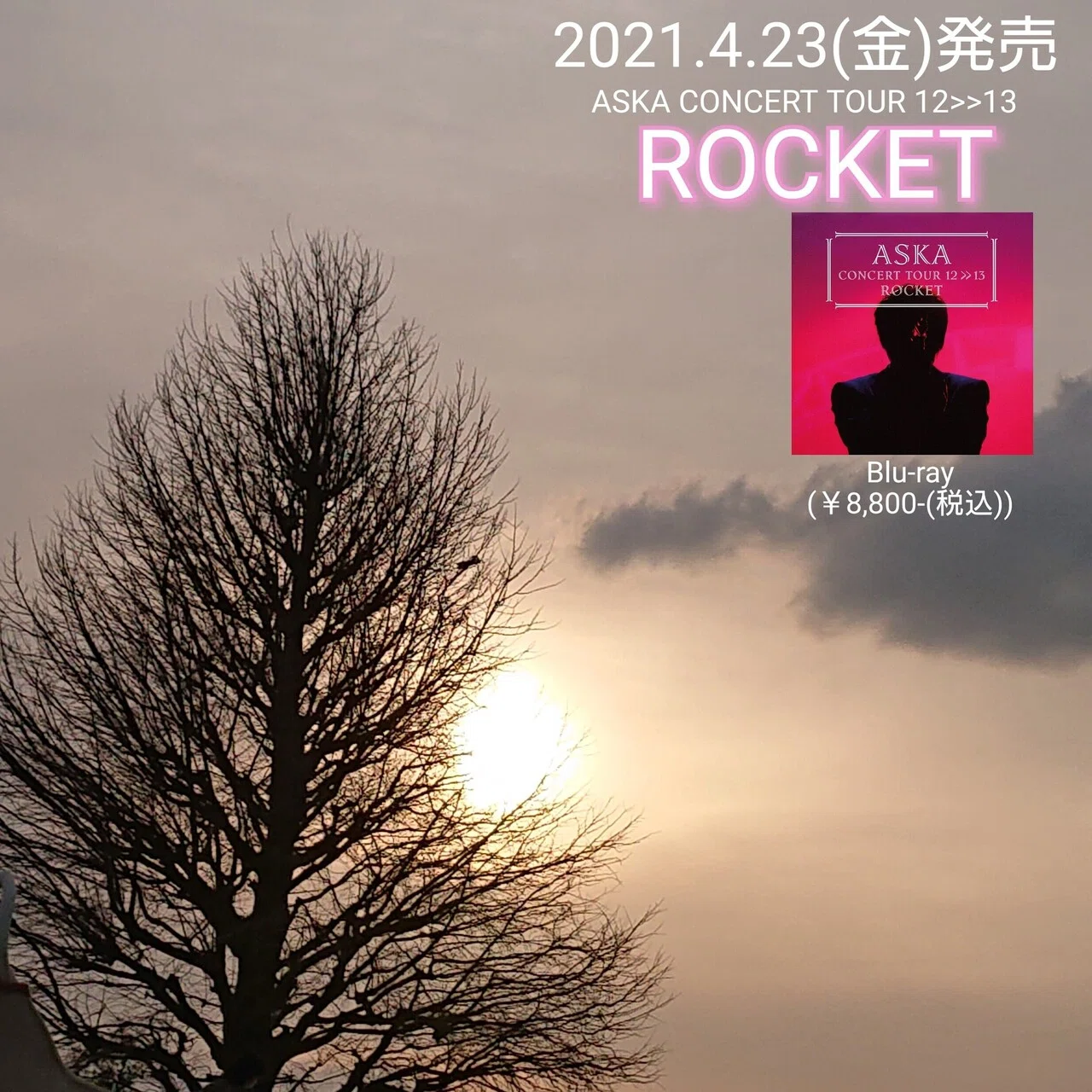 ROCKET』のASKA BANDのご紹介！(全8名)｜ねね&杏寿