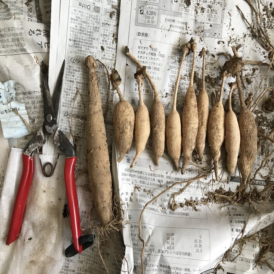 ７ 分球 沢田朋輝 Note