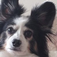 最近のディズニーには本当にあたまにきている Eriko Note 最近のディズニーには本当にあたまにきている Eriko Note