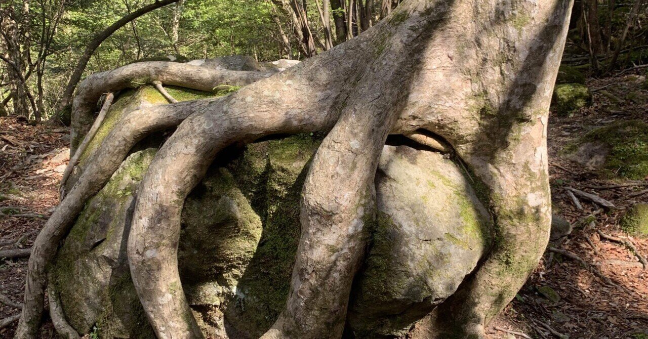 GREAT RESET ｜HEADSPACE ｜note