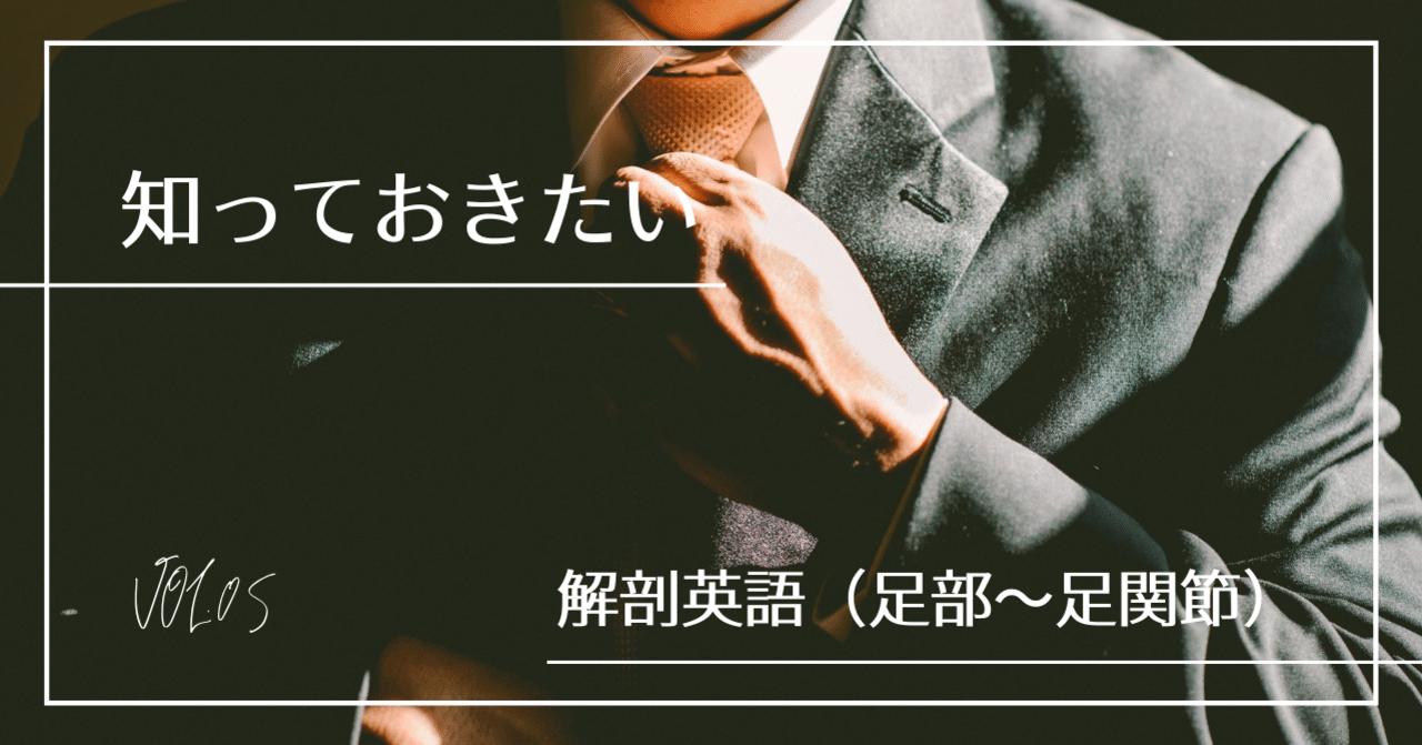 解剖学を英語で学ぶ 足部 足関節 苅田龍三 Athletic Trainer Acupuncturist Training Note