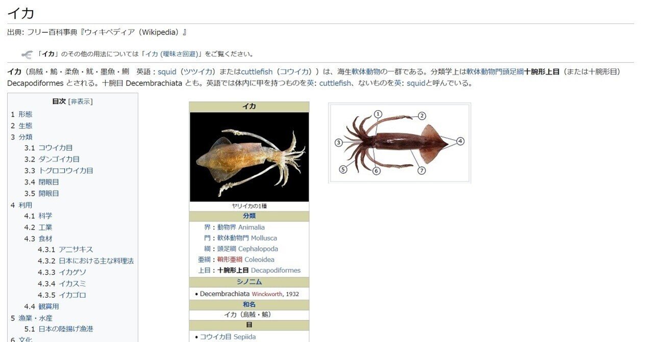 英語 ヤリイカ