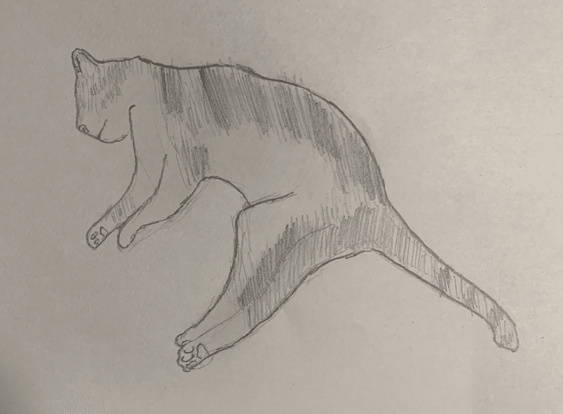 18年 無愛想に生きた猫 Ohbukuro Note