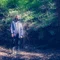 うぃる