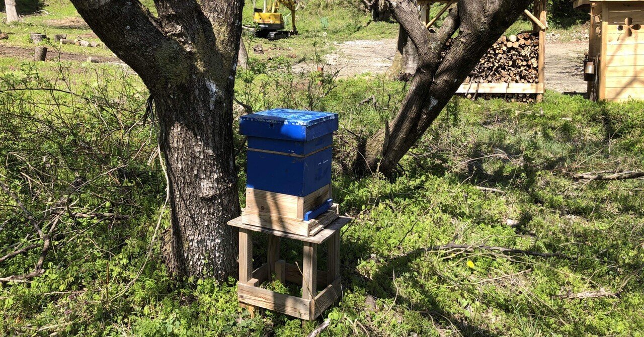 日本ミツバチ待箱設置｜shanthi-usui