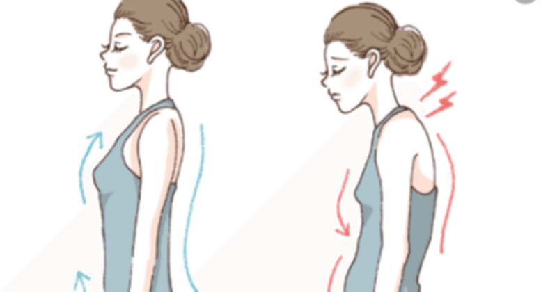 永久保存版 猫背が気になる人は必ず読んで下さいー猫背になる原因と直し方 理論編 くどちん オンライン理学療法士 note