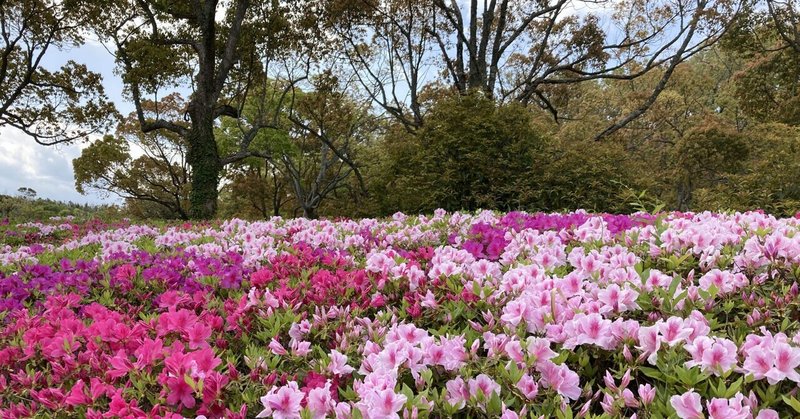 ライフハック 山口宇部経済新聞 みんなの経済新聞ネットワーク 我長州人 時々狩人 極稀釣人 Nido ウベノス Note
