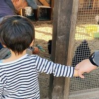 小学校受験 準備物 運動編 Liberi幼児教育研究室 Note