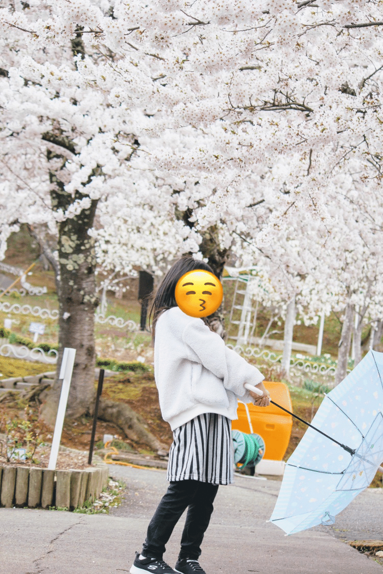 家族と楽しめる 花巻温泉は桜の名所 かぼす Stand Fm配信 Note