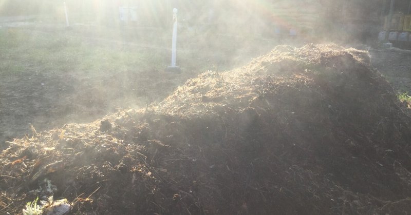 I Love Compost!! 堆肥づくりの楽しさよ〜。