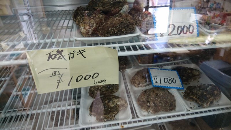 磯ガキ Shore Oyster 千葉県銚子市海鹿島町 石井干物店 刺身馬鹿一代 Sasimi Nerd Life Note 磯ガキ Shore Oyster 千葉県銚子市海鹿島町 石井干物店 刺身馬鹿一代 Sasimi Nerd Life Note