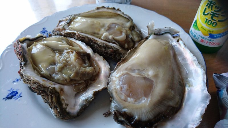 磯ガキ Shore Oyster 千葉県銚子市海鹿島町 石井干物店 刺身馬鹿一代 Sasimi Nerd Life Note