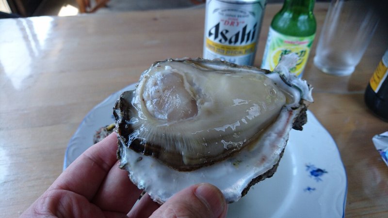 磯ガキ Shore Oyster 千葉県銚子市海鹿島町 石井干物店 刺身馬鹿一代 Sasimi Nerd Life Note 磯ガキ Shore Oyster 千葉県銚子市海鹿島町 石井干物店 刺身馬鹿一代 Sasimi Nerd Life Note