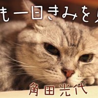 エッセイ連載 角田光代 明日も一日きみを見てる 小説 野性時代