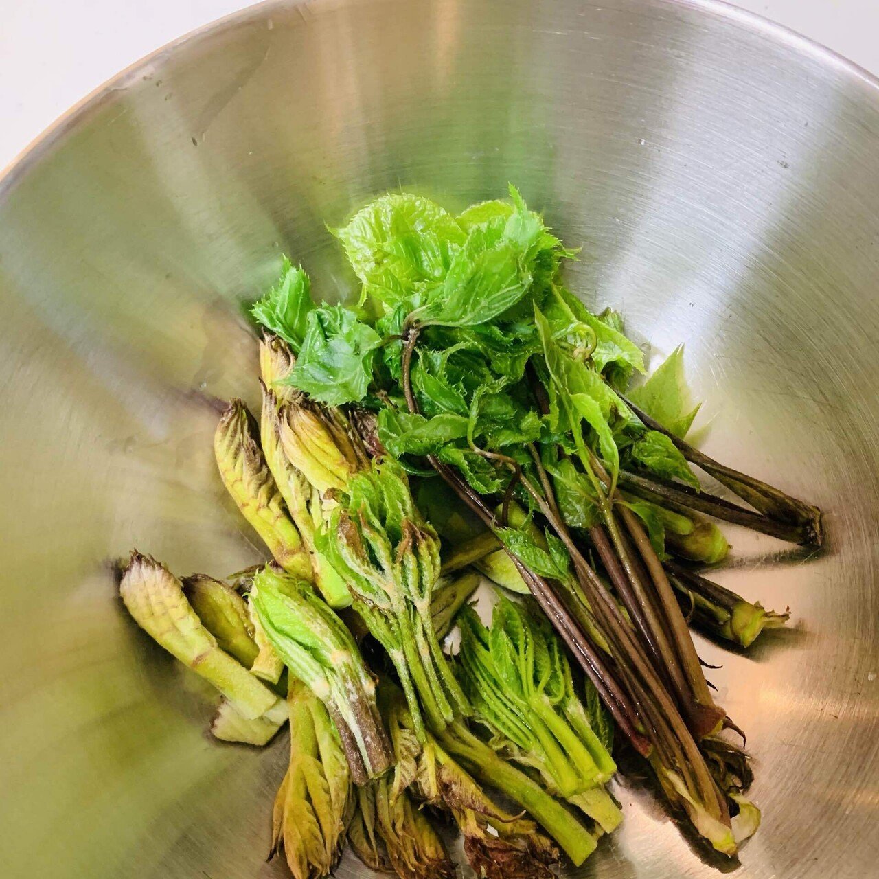 今日のお弁当と 初夏のお裾分け天ぷら Moena Note 今日のお弁当と 初夏のお裾分け天ぷら Moena Note