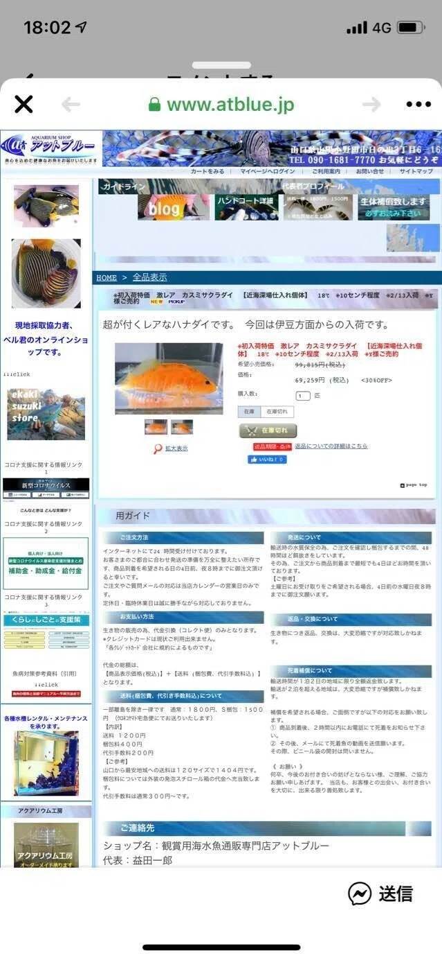 画像10