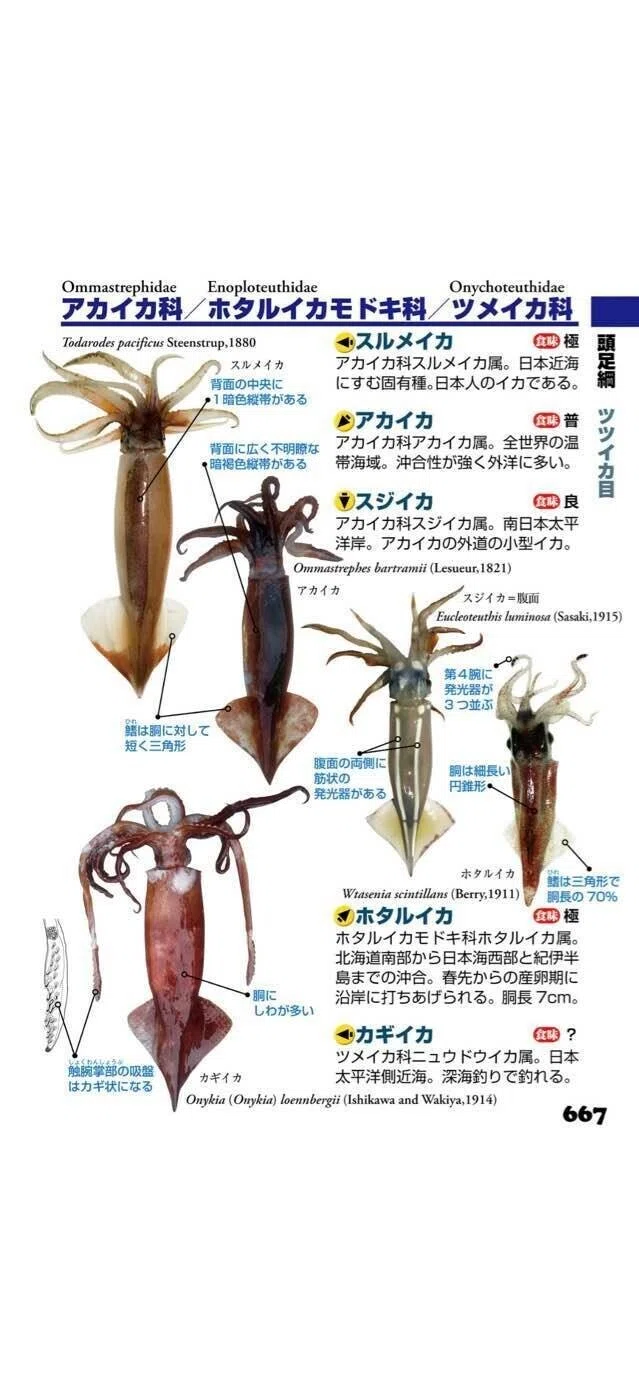 画像11