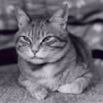 マゼランの未知なる大陸への挑戦 の新着タグ記事一覧 Note つくる つながる とどける マゼランの未知なる大陸への挑戦 の新着タグ記事一覧 Note つくる つながる とどける