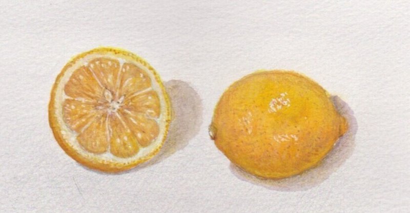 輪切りの檸檬を描いてみました