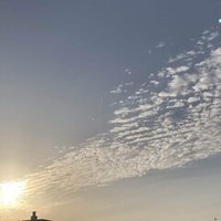 タロット占い師への旅 エリヒト Note