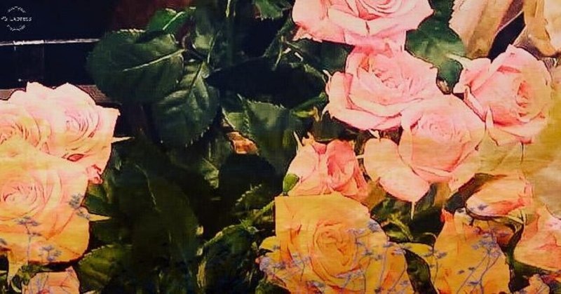 背中痛いと野薔薇と薔薇 みかみきみけ Note