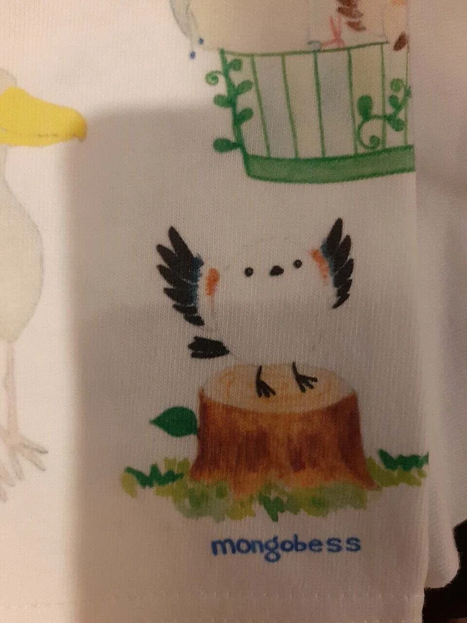 シマエナガ