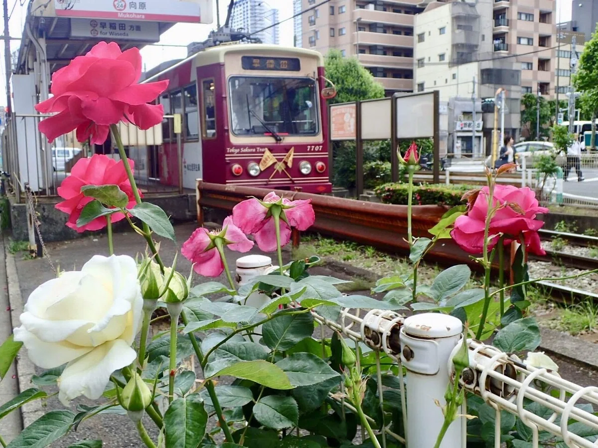 画像4