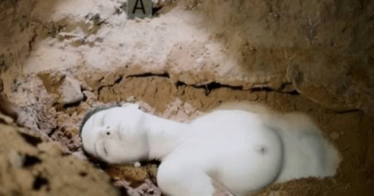 ジェーン ドウの解剖 考察