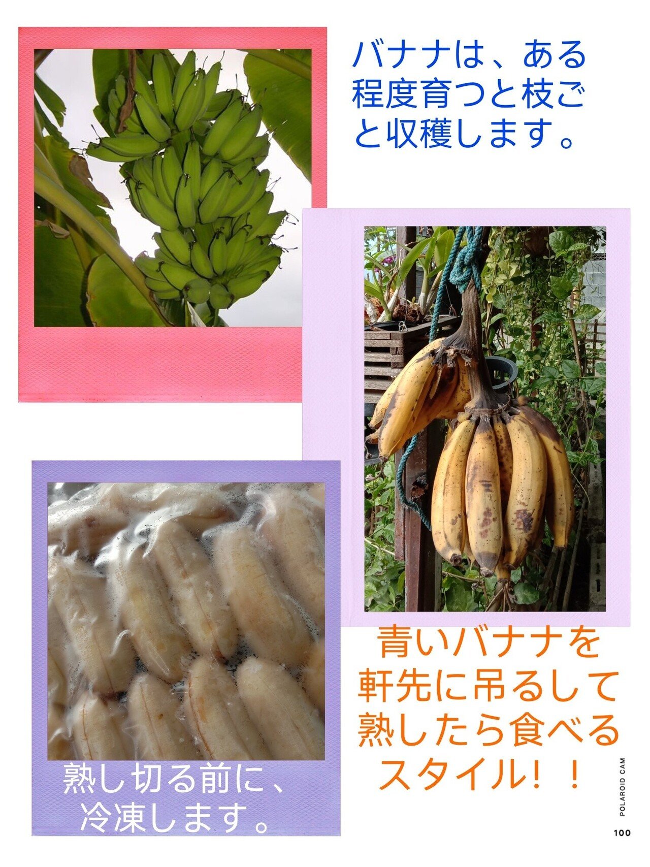 Lwfpzq2dkkhgrm Lwfpzq2dkkhgrm
