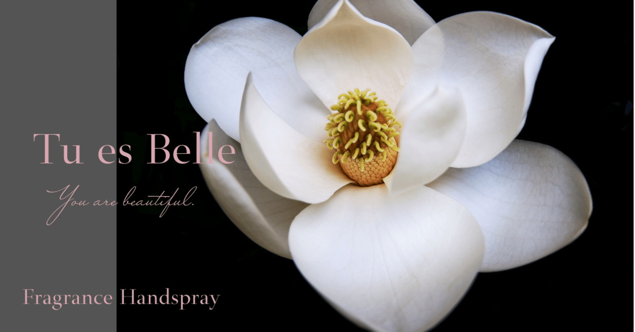 優雅でエレガント チュエベルの上品な甘さを演出するお花 マグノリア Tu Es Belle チュエベル Note 優雅でエレガント チュエベルの上品な甘さを演出するお花 マグノリア Tu Es Belle チュエベル Note