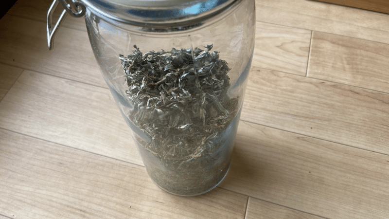 ゼロウェイストな 野草茶3種 カラスノエンドウが意外においしい 糸 Note ゼロウェイストな 野草茶3種 カラスノエンドウが意外においしい 糸 Note