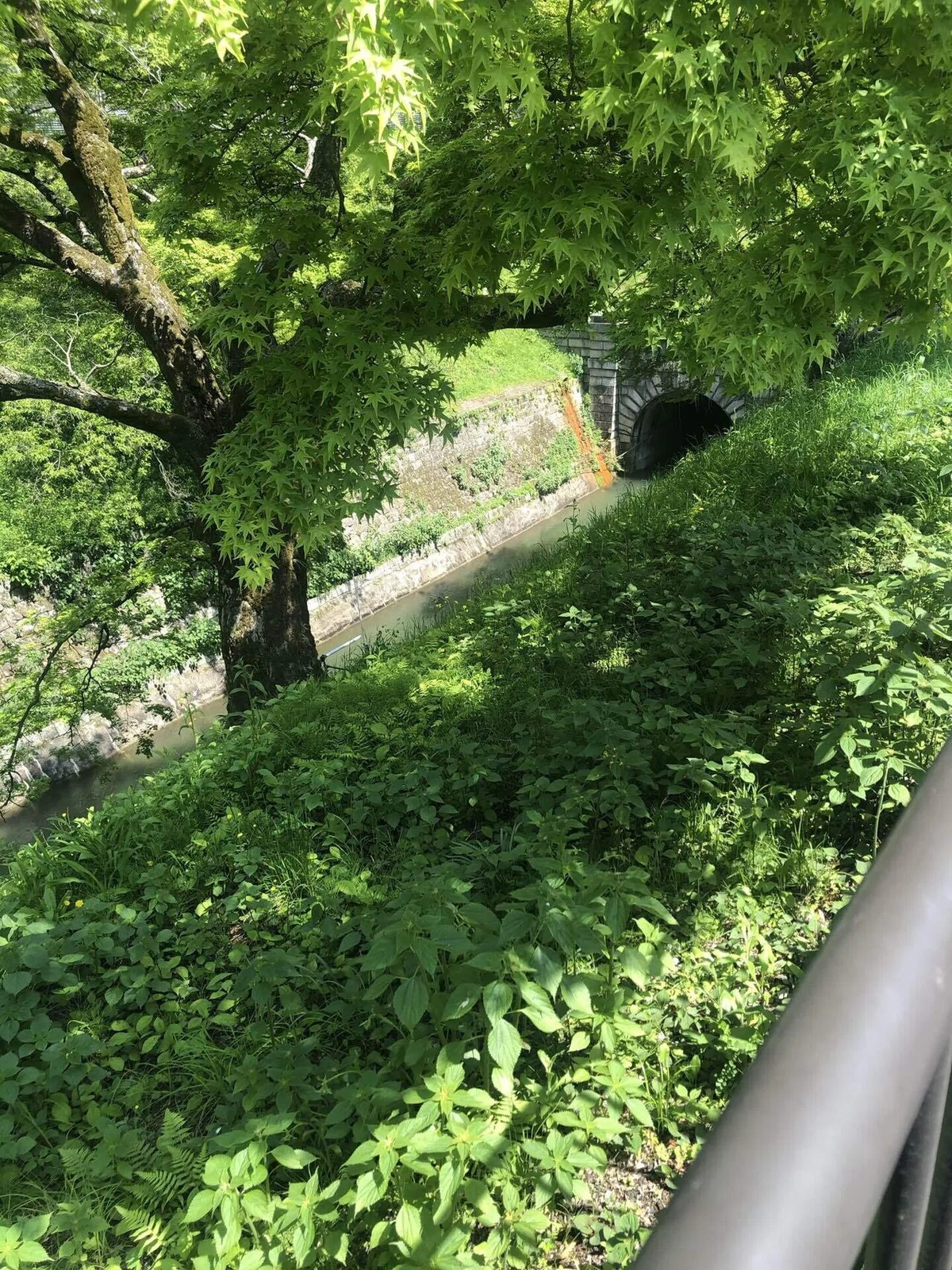 画像17