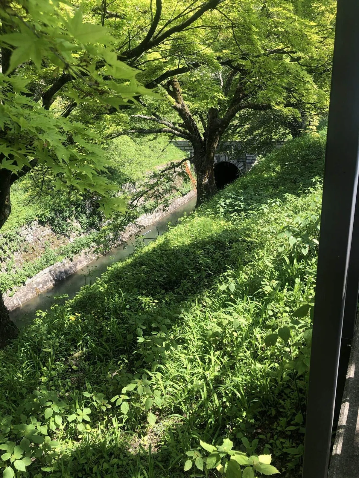 画像18