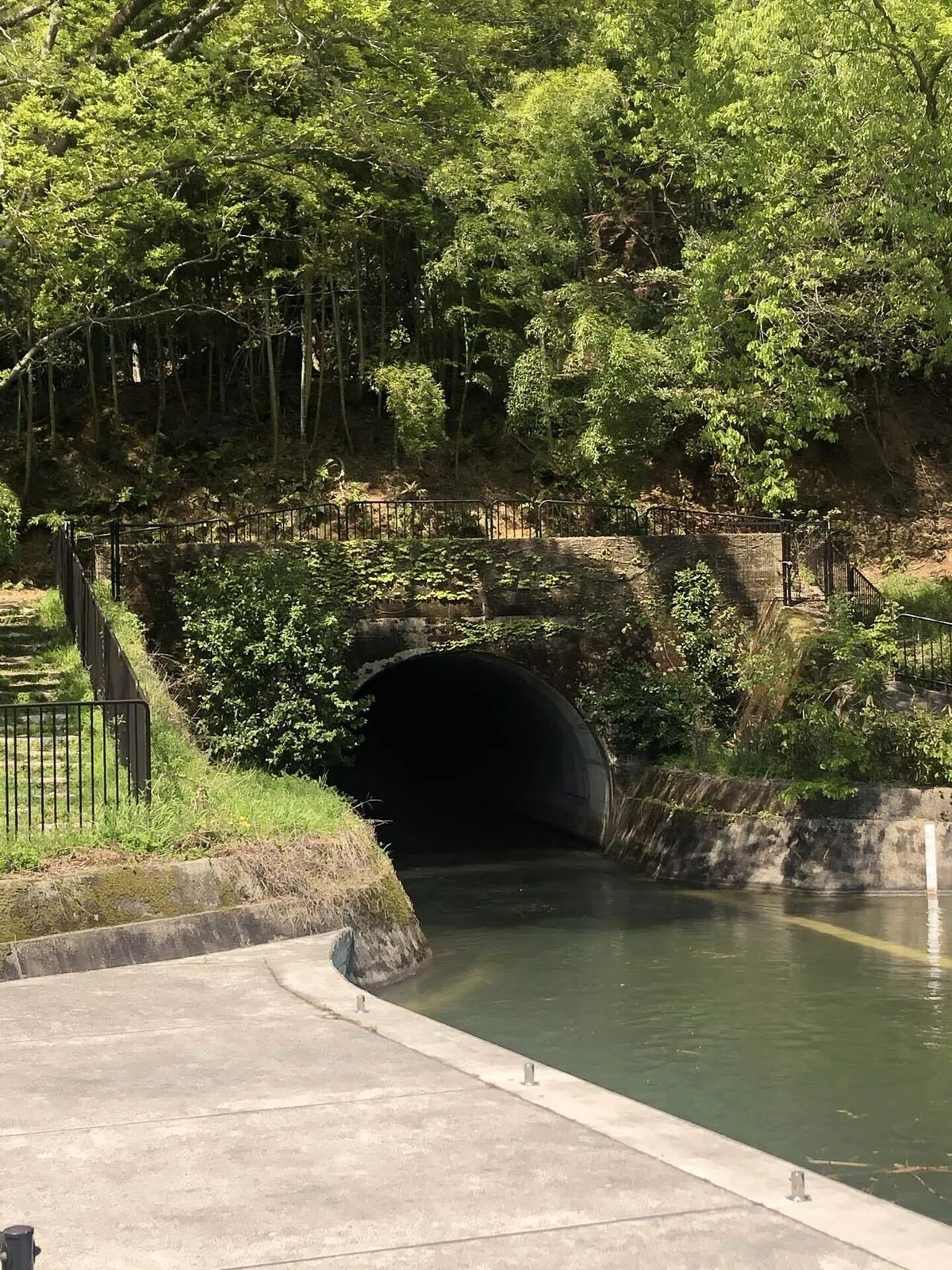 画像20