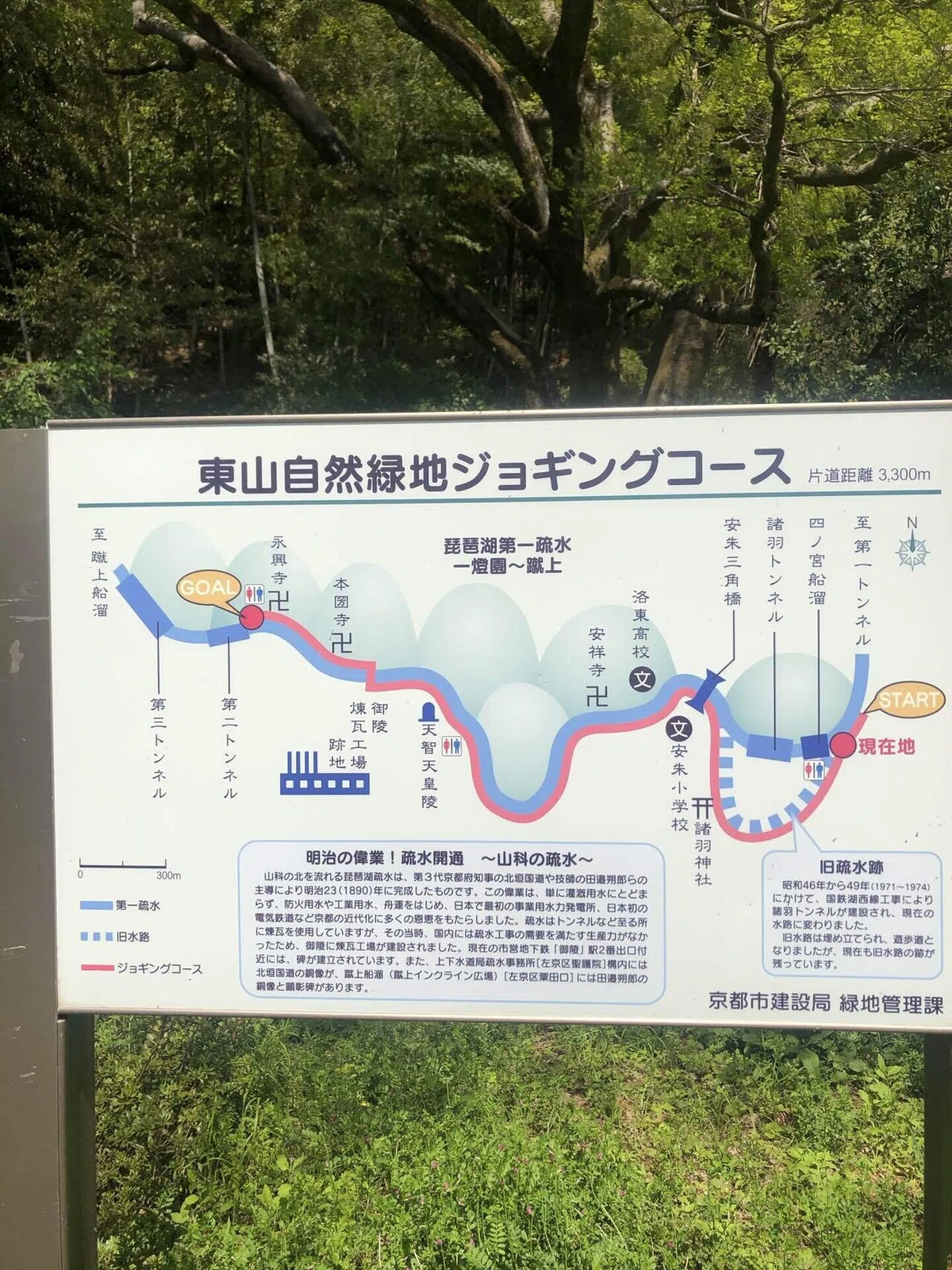 画像21
