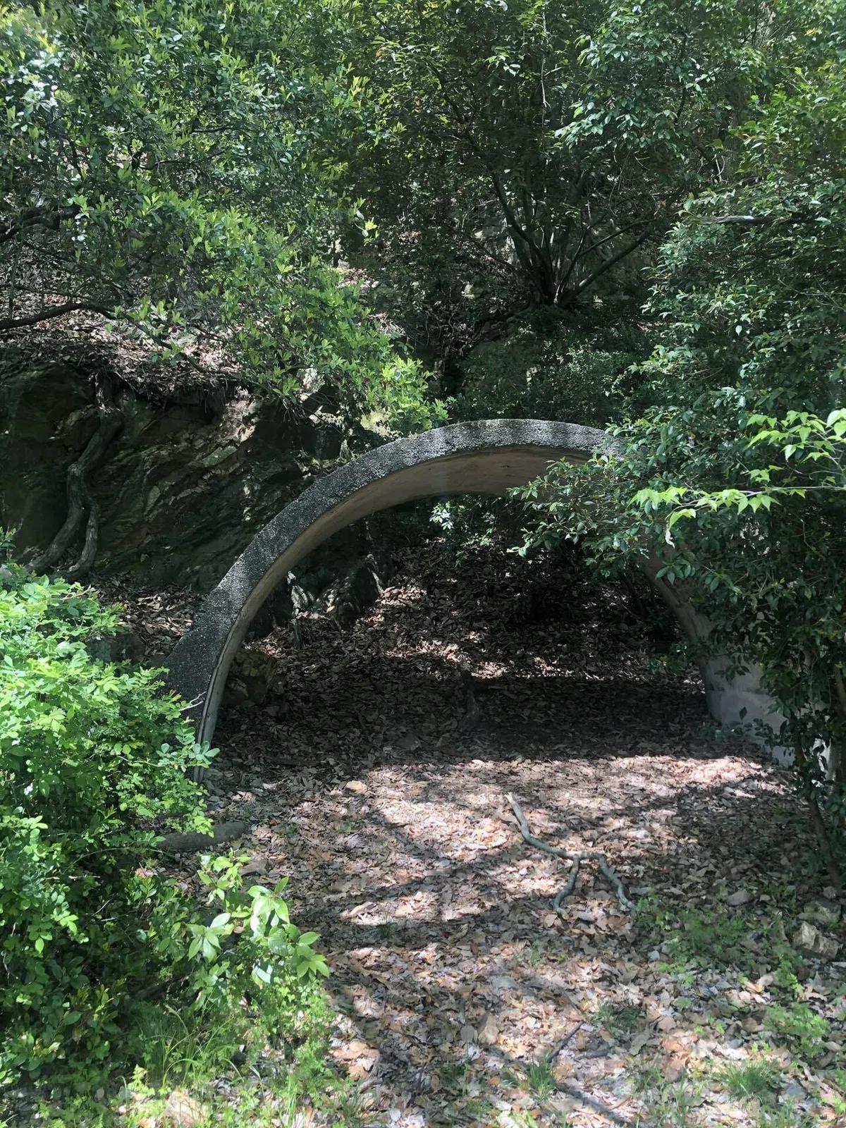 画像24