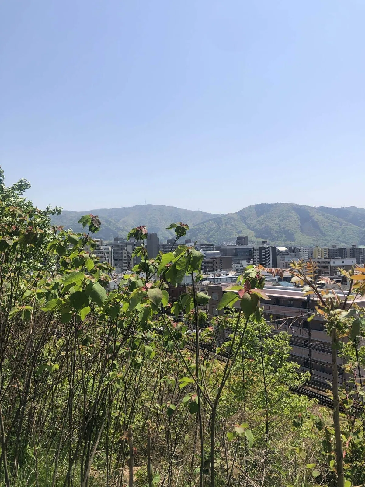 画像31