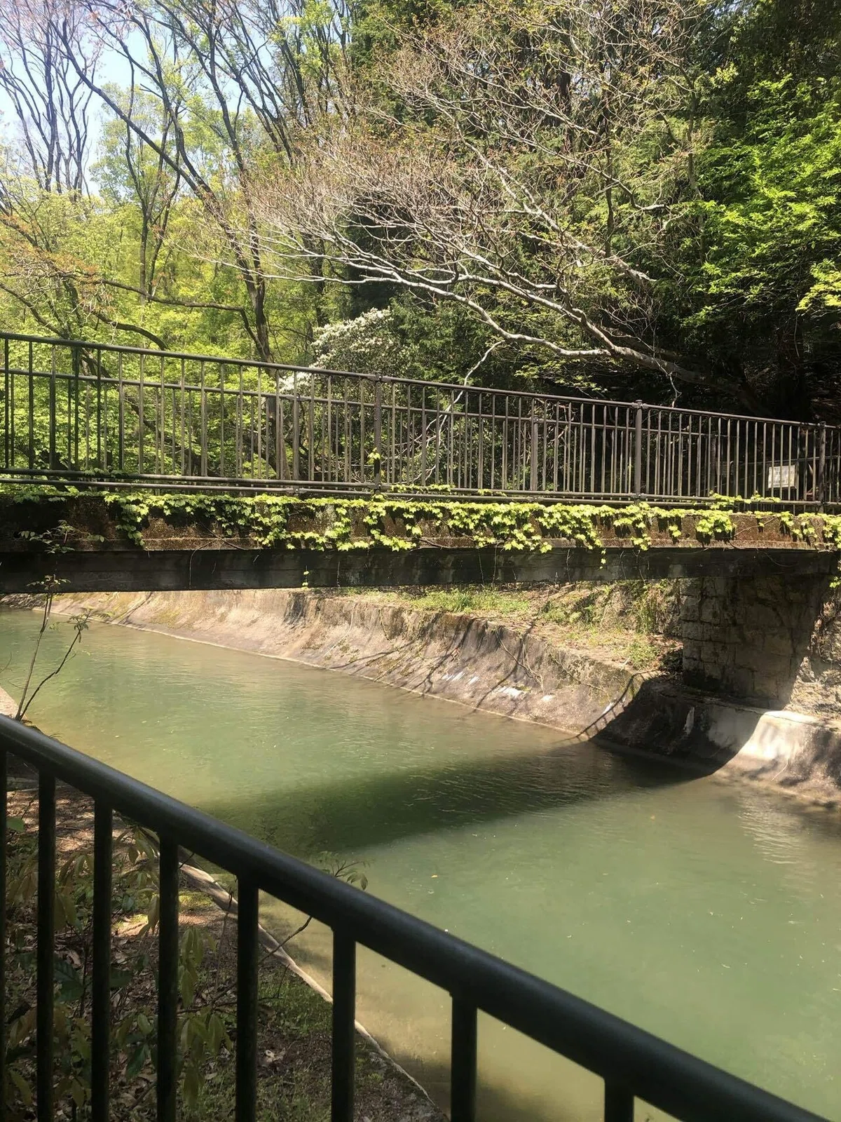 画像35