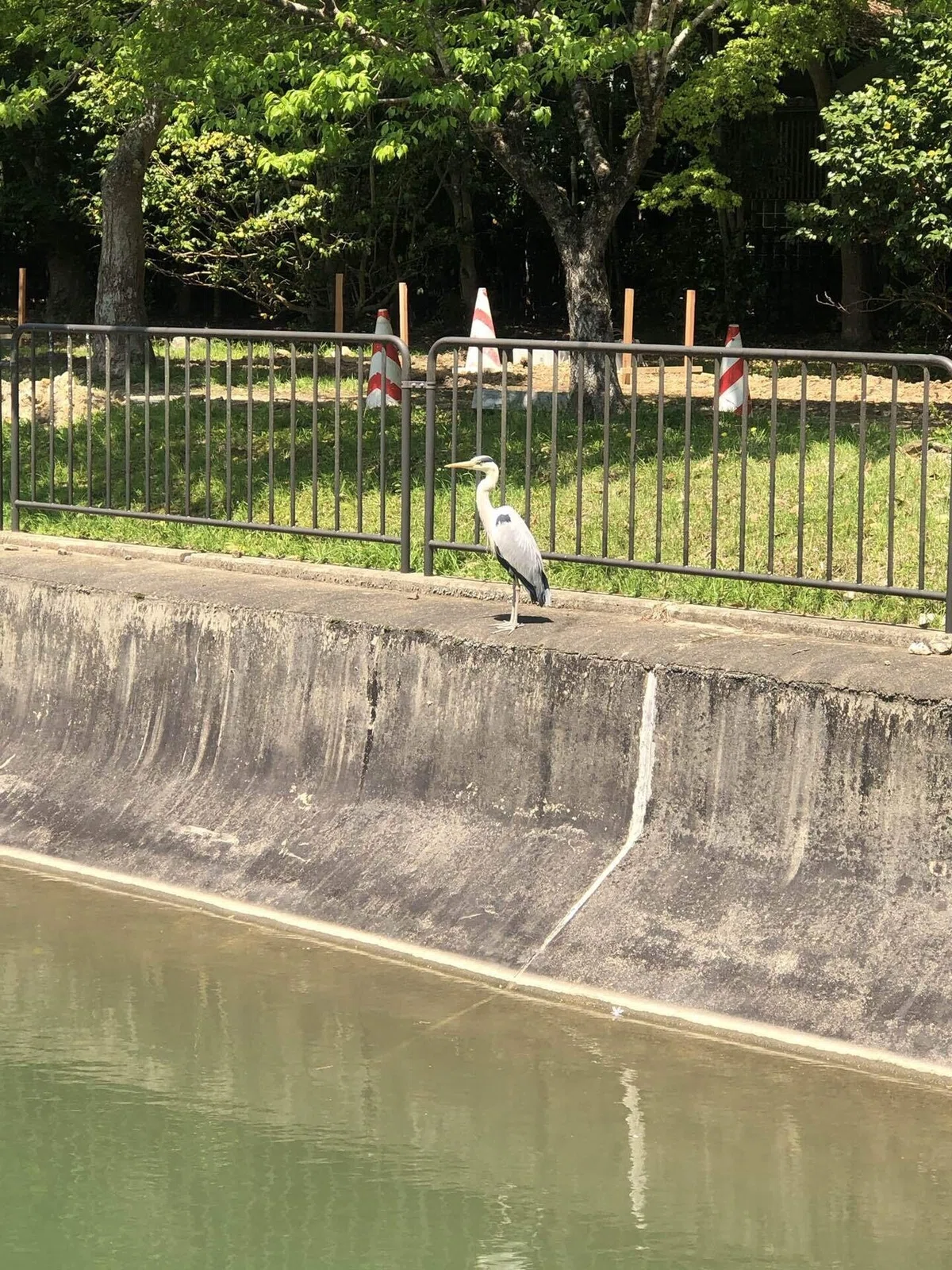 画像40