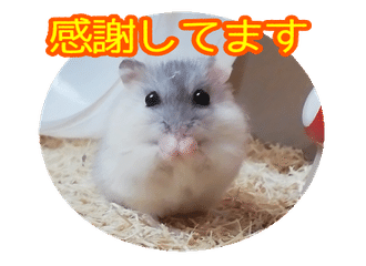 ゆめたん Note