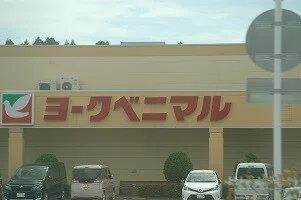 鳩のマーク-1-2