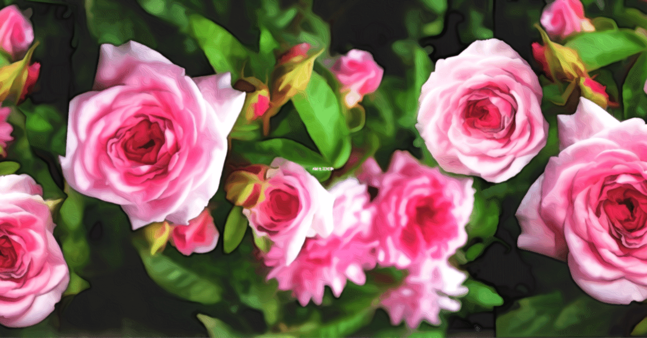 4月21日 誕生花は麝香薔薇 誕生花短歌 御子柴 流歌 Note 4月21日 誕生花は麝香薔薇 誕生花短歌 御子柴 流歌 Note