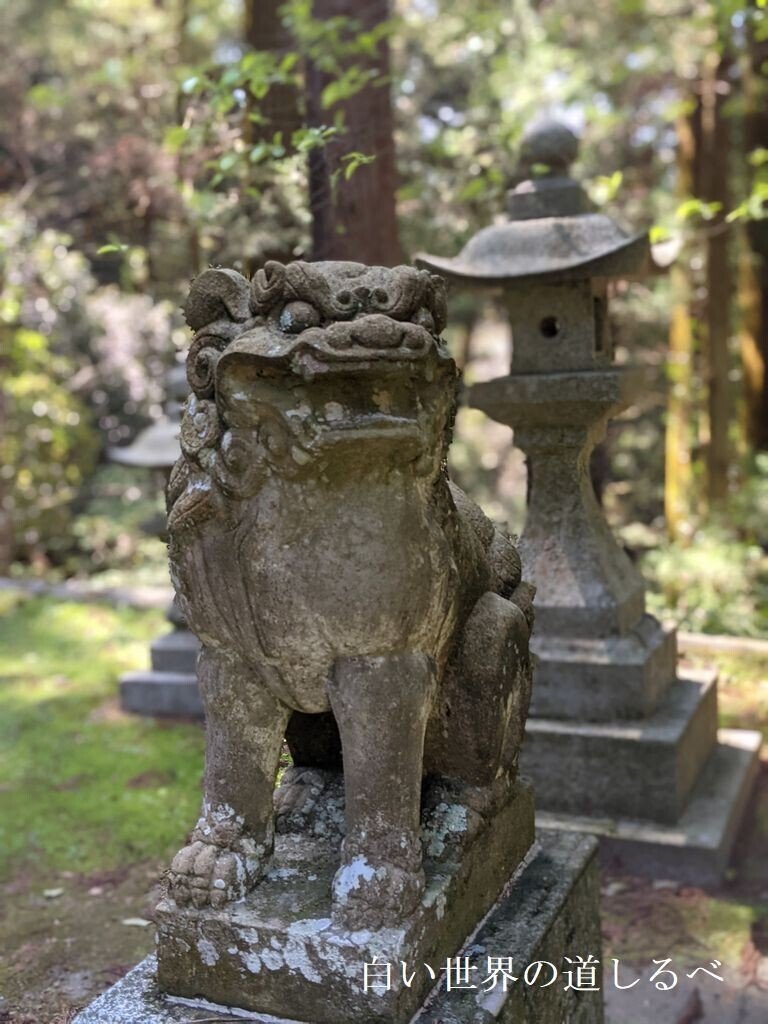 飛鳥川上坐宇須多伎比賣命神社 (8)